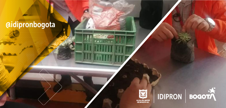 Taller del cuidado de agua y suculentas en la UPI Normandía