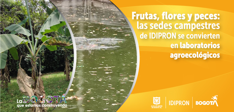 Frutas, flores y peces: las sedes campestres de IDIPRON se convierten en laboratorios agroecológicos