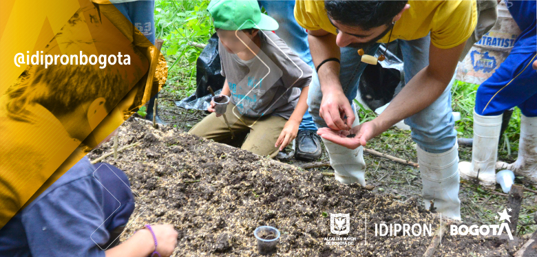 Niños de San Francisco 