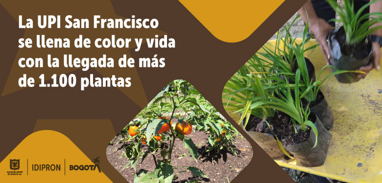 La UPI San Francisco se llena de color y vida con la llegada de más de 1100 ejemplares vegetales