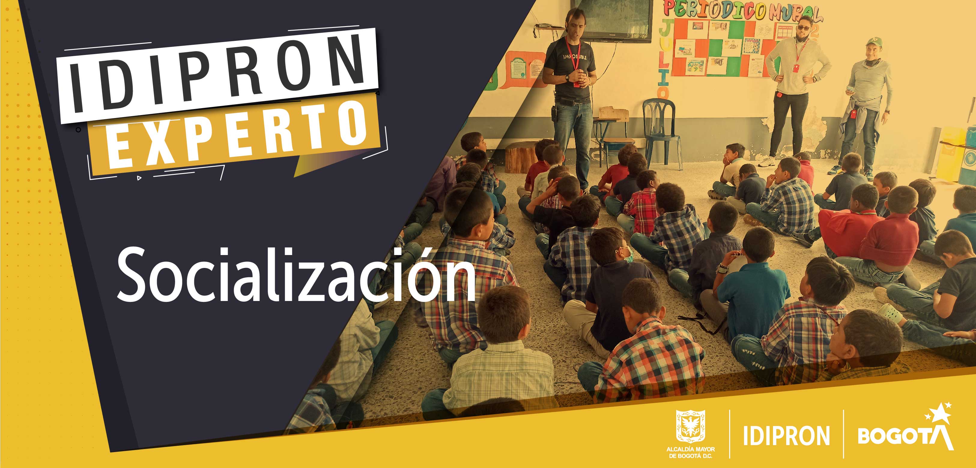 Socialización IDIPRON