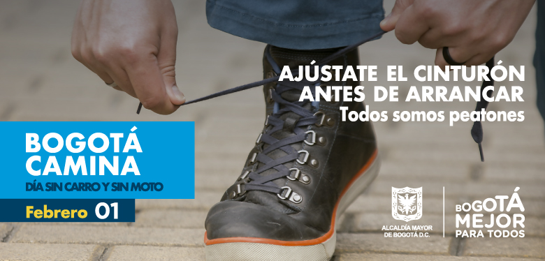 imagen de zapato de hombre en campaña día sin carro
