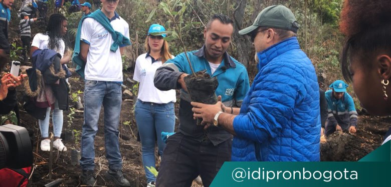 Director Wilfredo Grajales y joven beneficiario del IDIPRON en plantatón