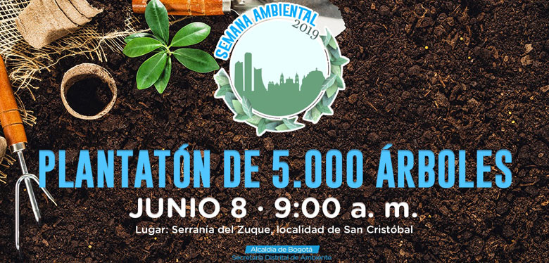 Plantatón de cinco mil árboles en Bogotá